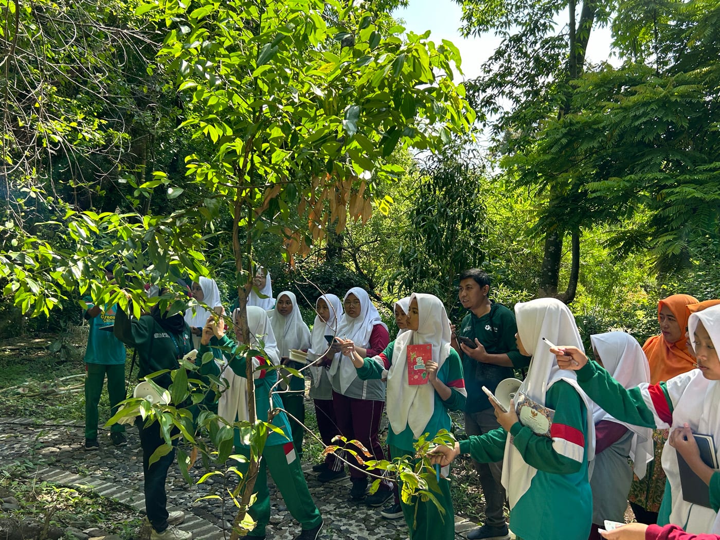 Garden tour at Kebun Raya Purwodadi
